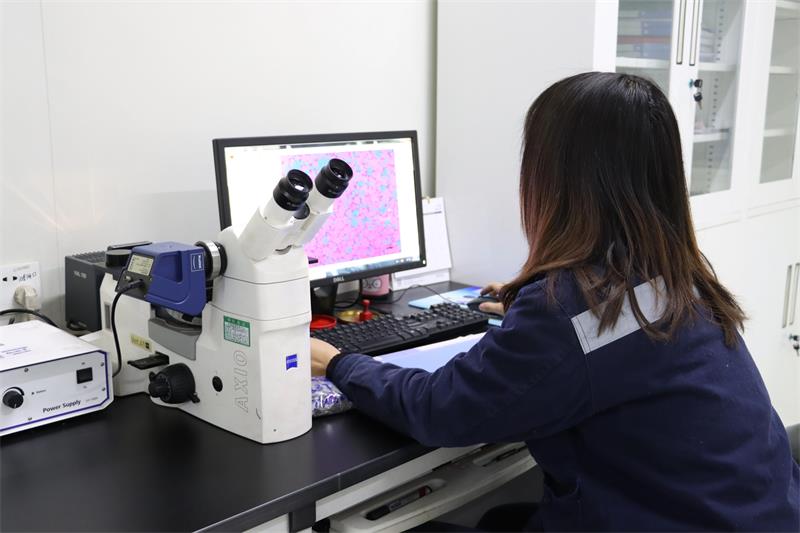 綠色智造，引領未來！明泰鋁業產品結構升級與再生鋁戰略深化之路